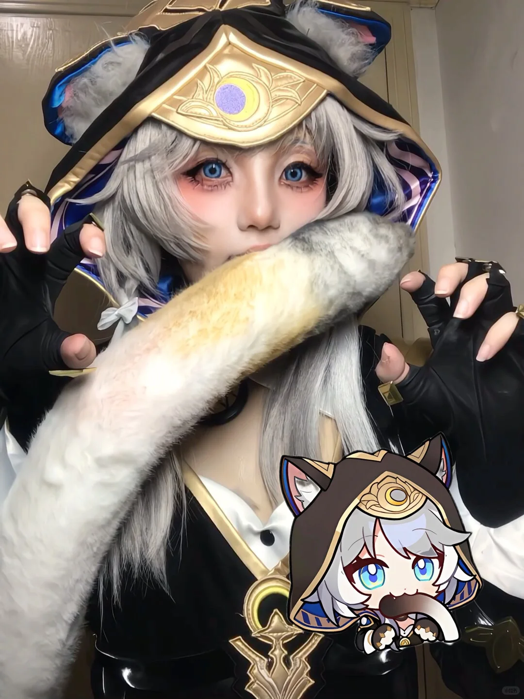 爵士好猫～↖(^ω^)↗