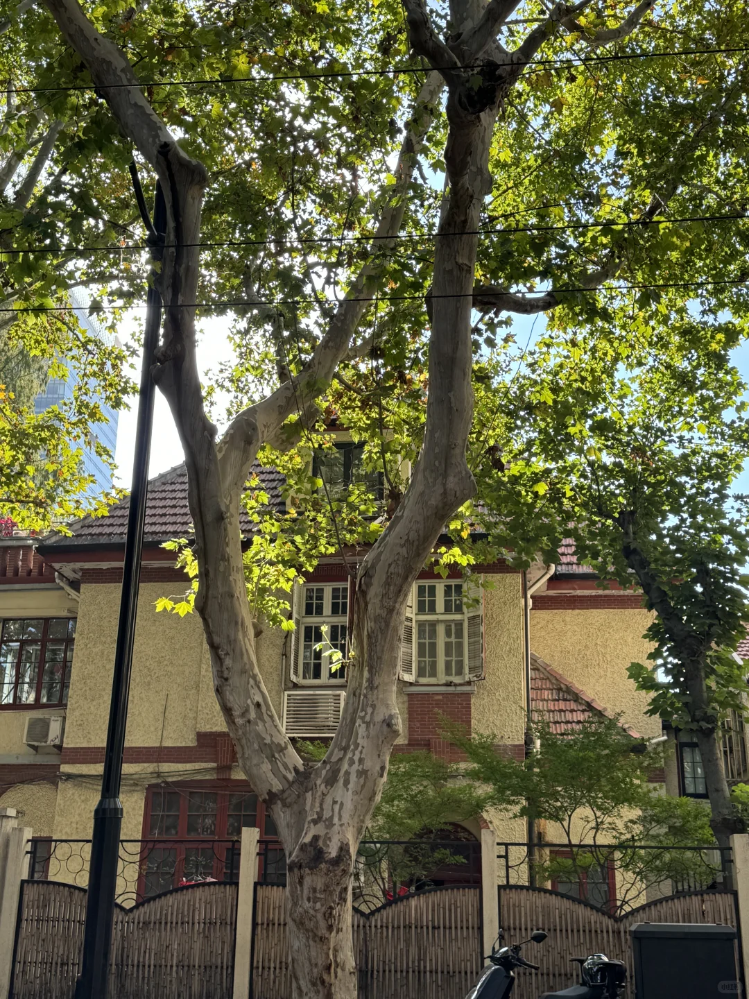 上海➡️嘉兴👫/分享日常/南京女发型师哦