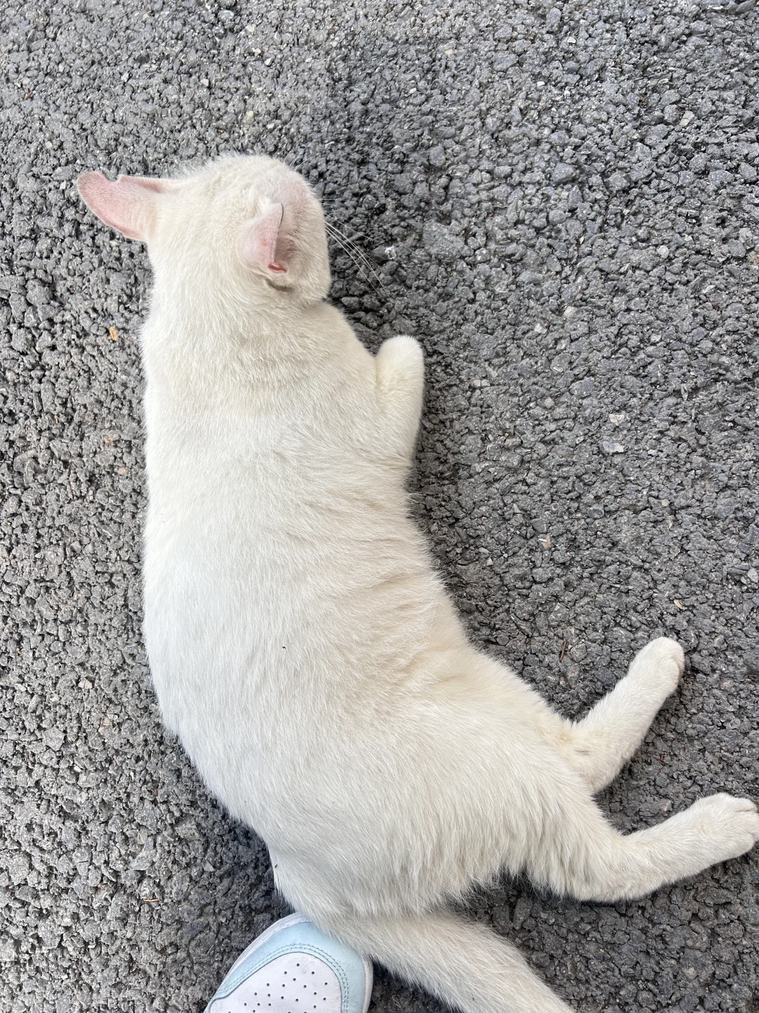 211工科女大重启人生打卡第一天。