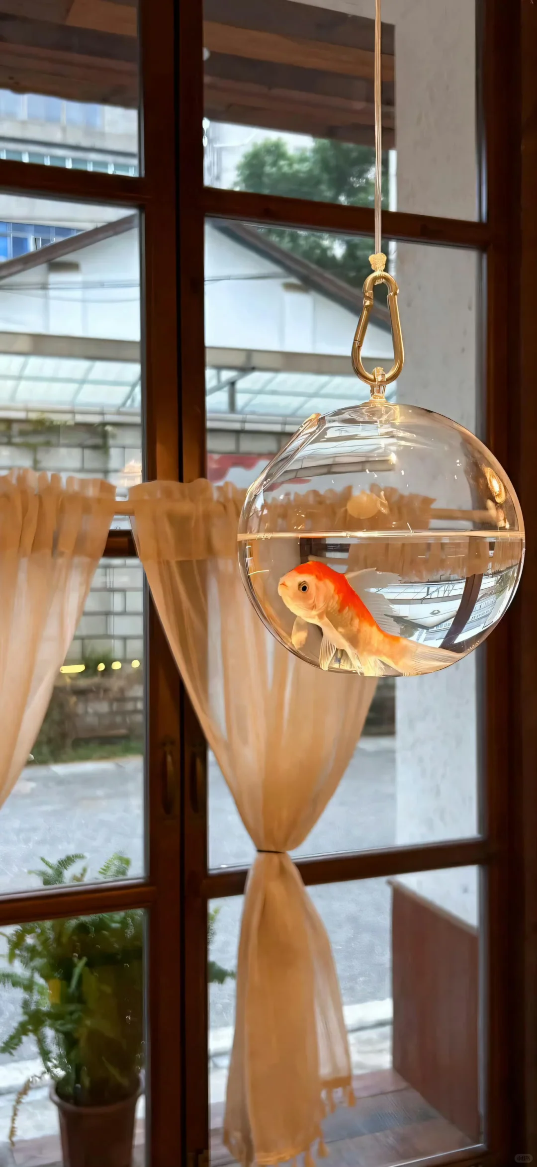 🌊壁纸｜ins高清壁纸🥥