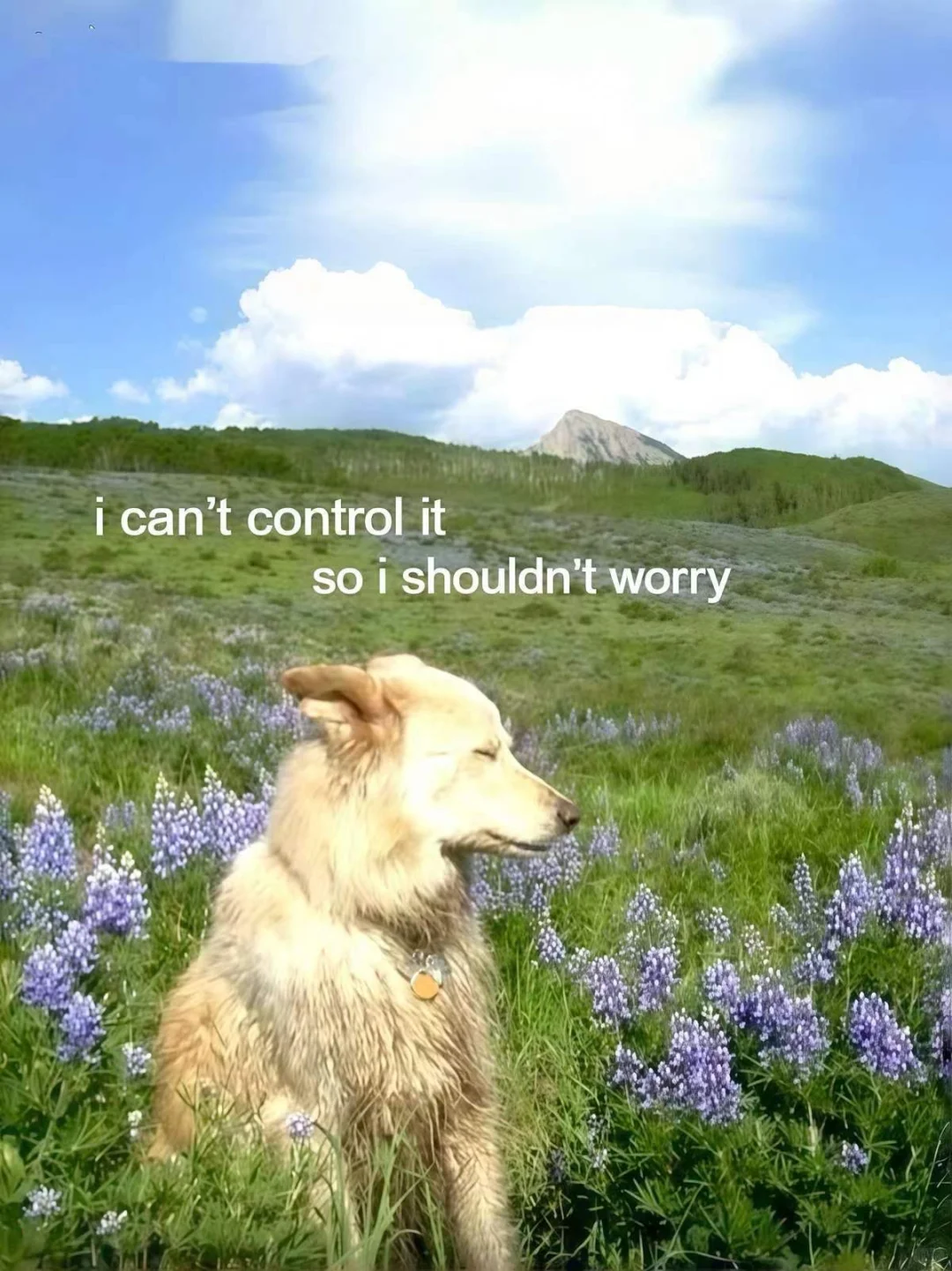 高能量壁纸｜你的壁纸该换了