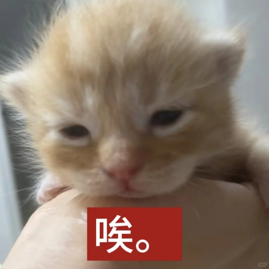 我爱你呀宝宝【审美积累第十二弹】