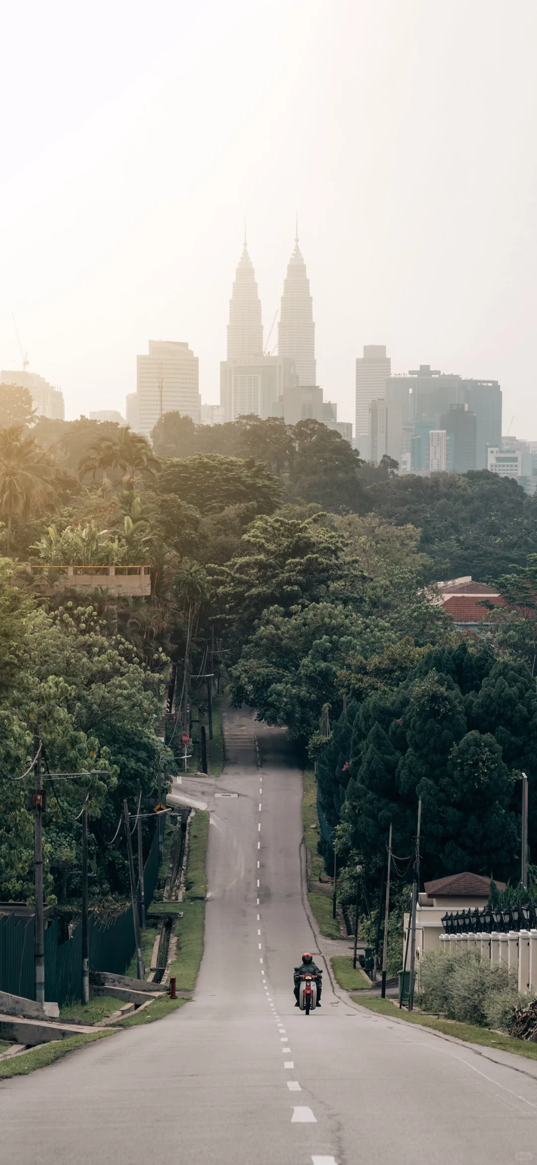 每日壁纸｜08.03