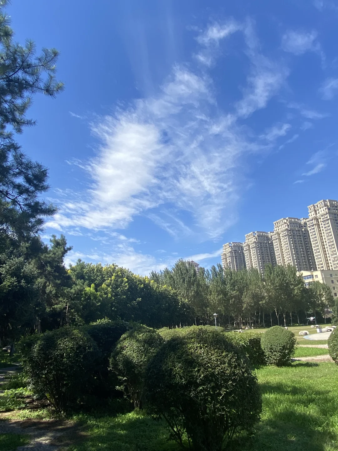 大自然是灵气最纯粹的地方