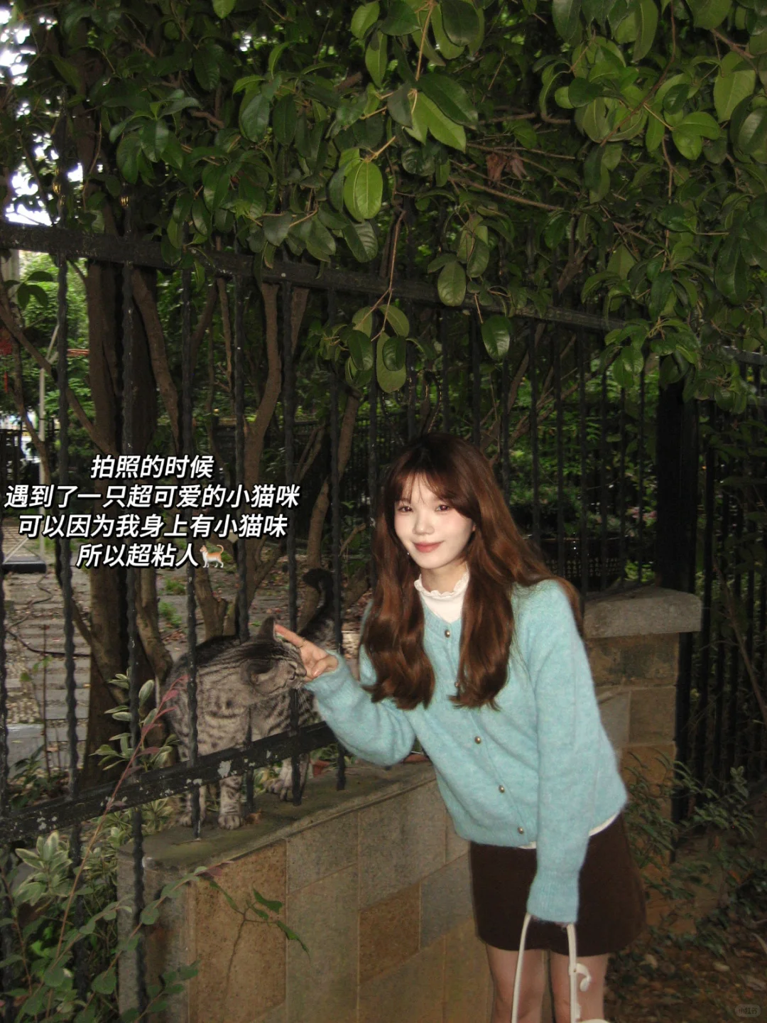 便宜衣服贵贵穿🛍️平价日常韩女穿搭～附🔗