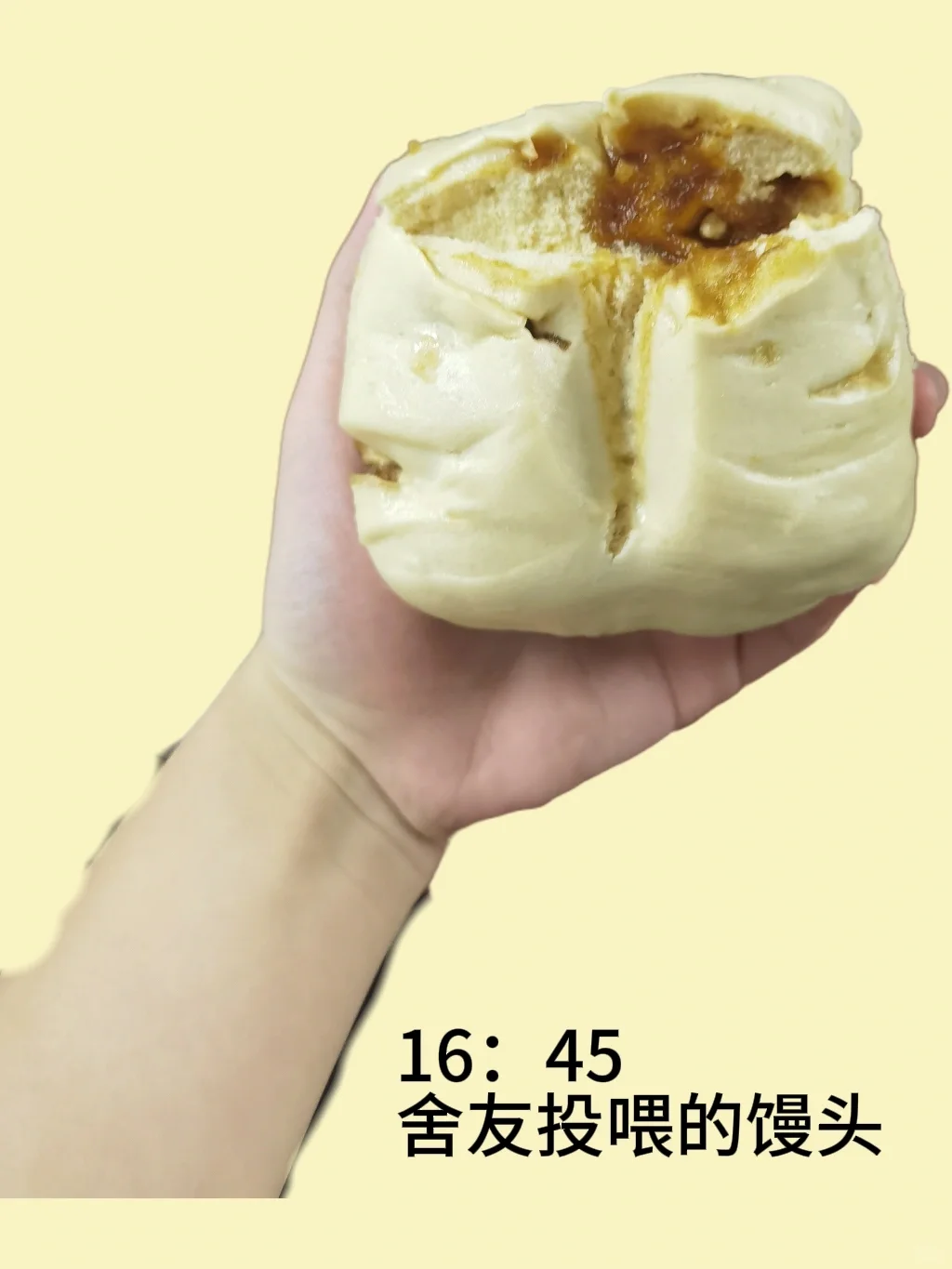 Day1 胰岛素抵抗减肥｜一天三顿｜162