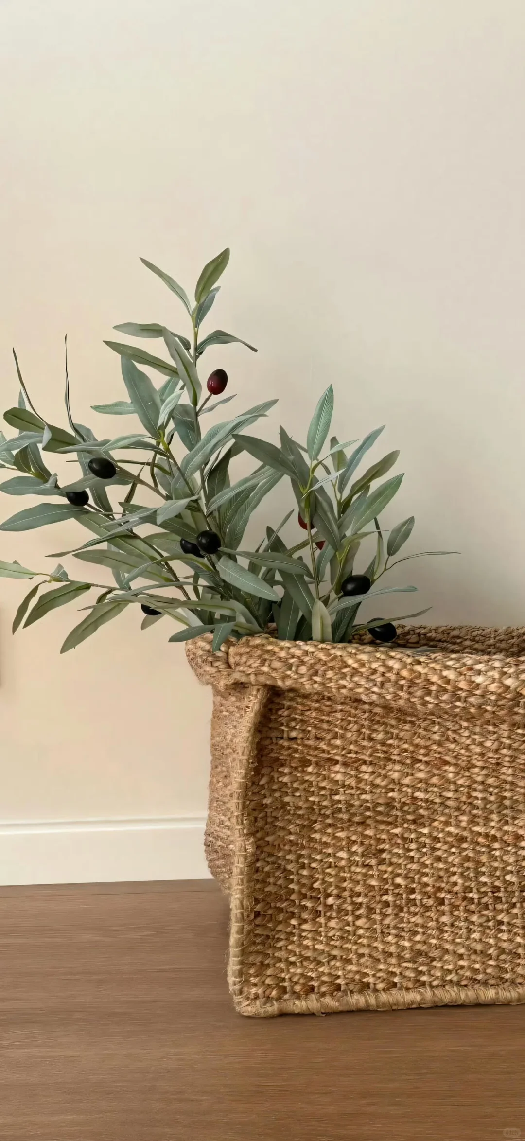 𝒔𝒉𝒂𝒓𝒆 | 冷淡风壁纸