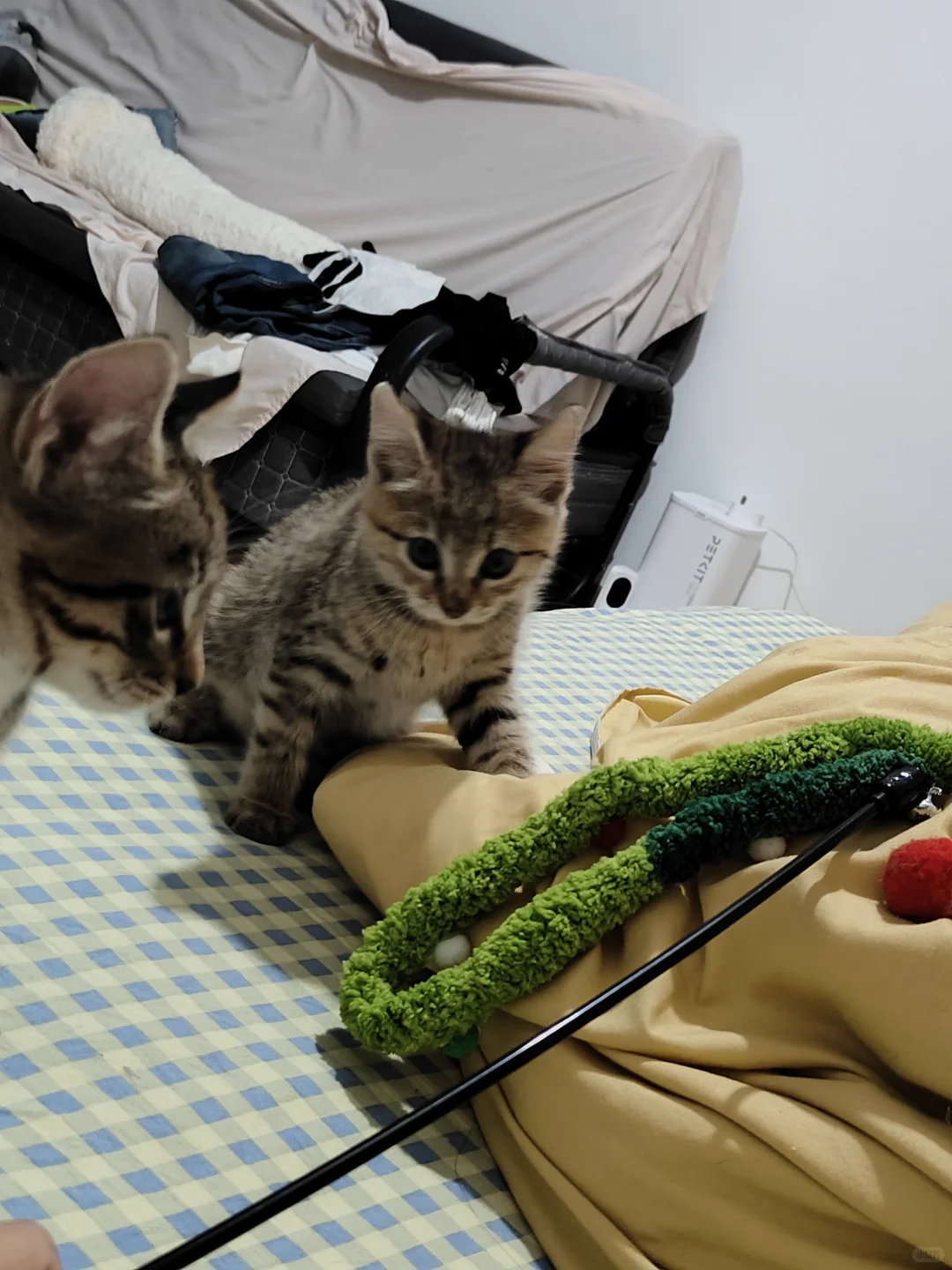 在老公衣柜发现蕾丝内衣，老公说是婆婆的