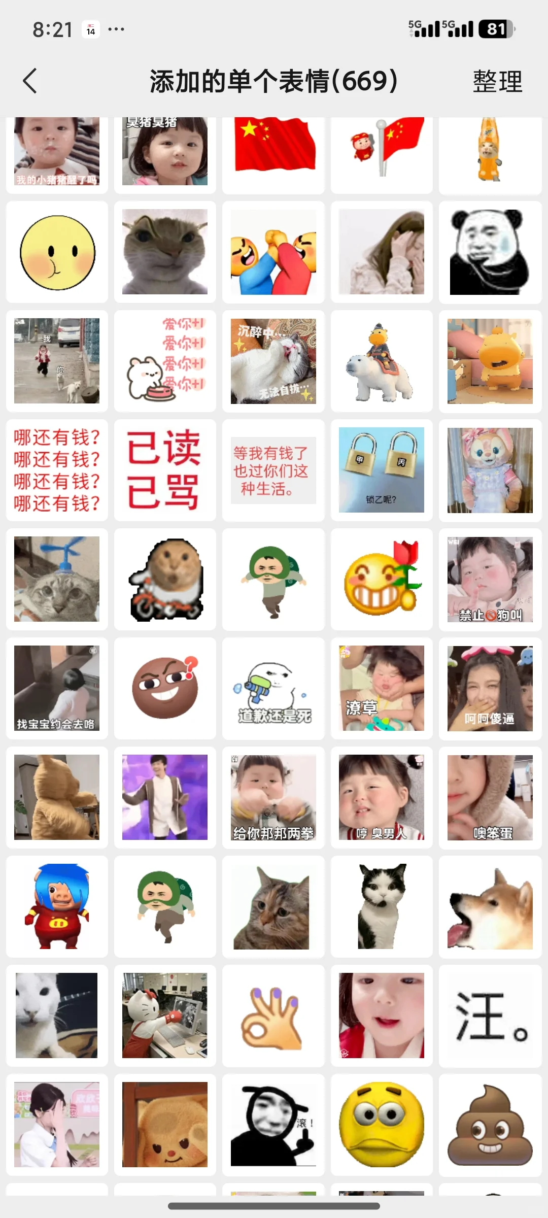 双春年了，谁还没有表情包裙