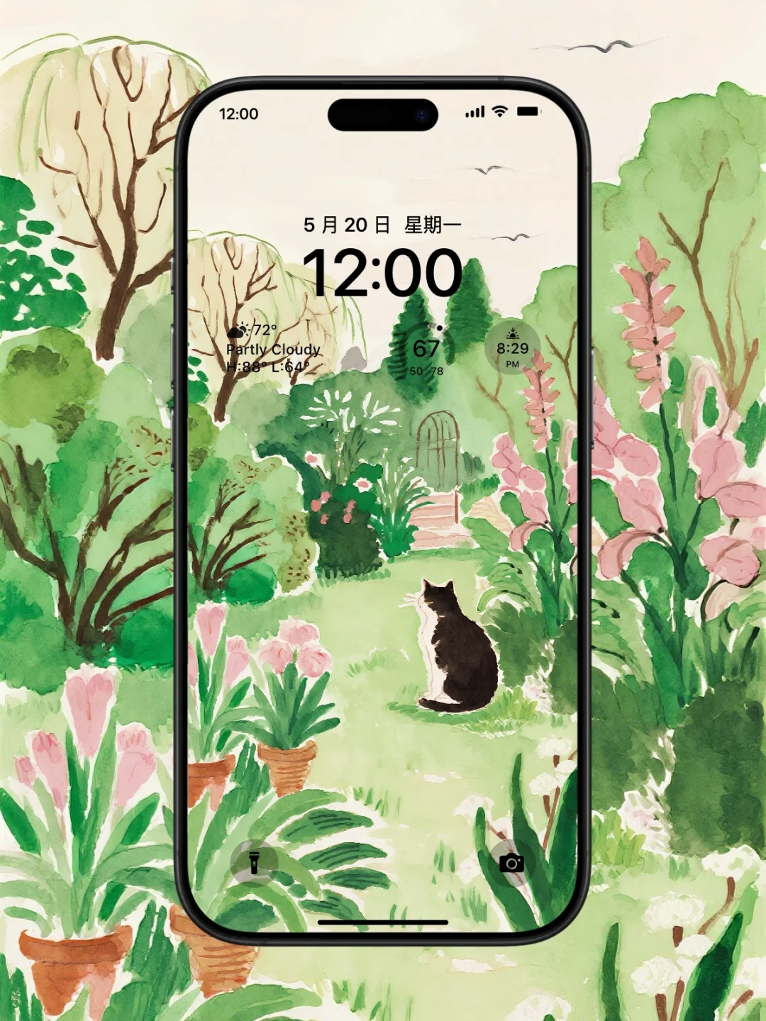 治愈系壁纸｜花园、猫咪、鲜花