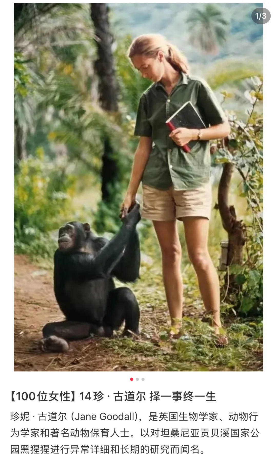 飞机上遇见了珍·古道尔（Jane Goodall）女士