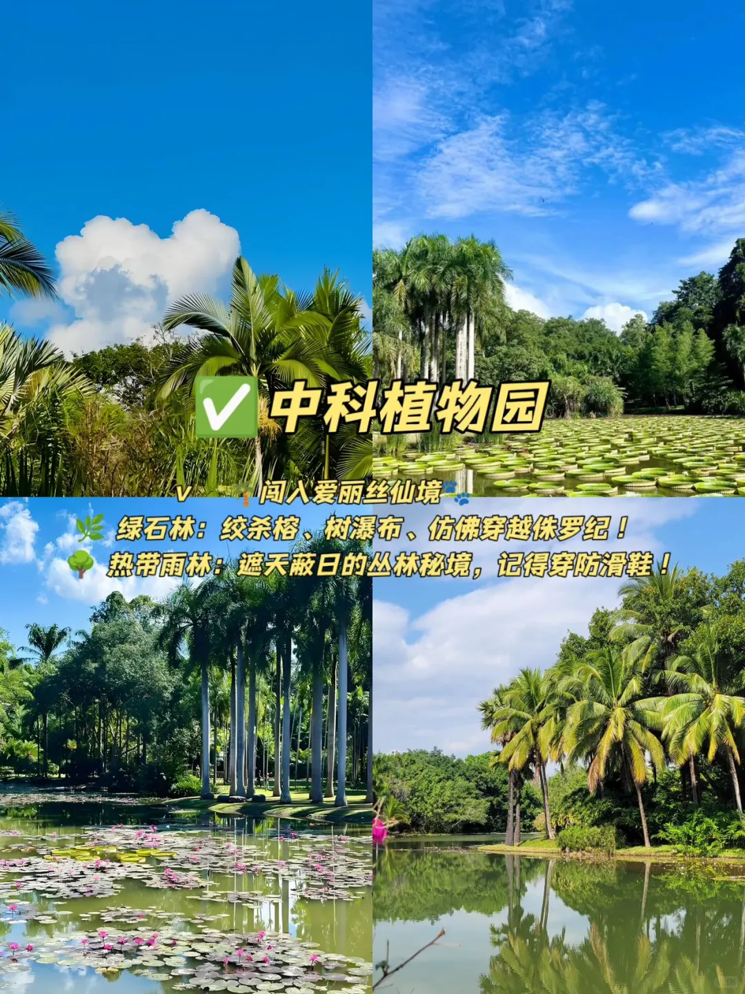 05女大📍西双版纳｜穷鬼版3天2夜详细攻略！