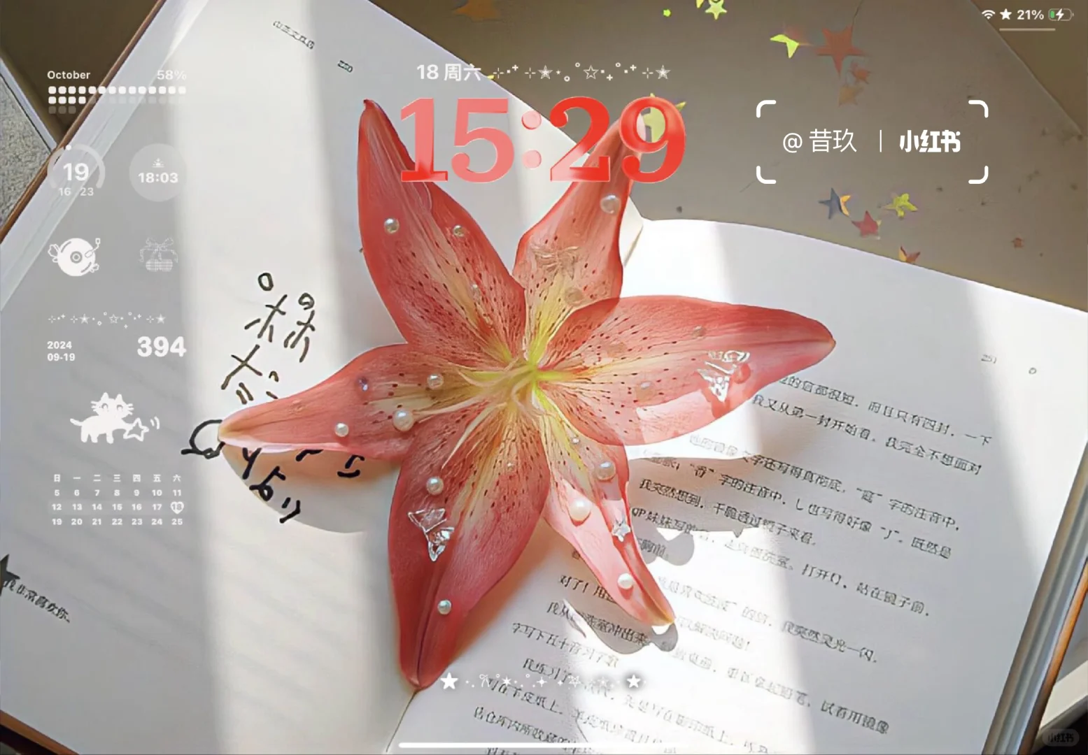 好喜欢我的iPad壁纸՞˶･֊･˶՞