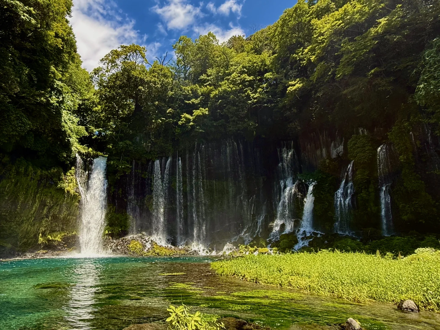 静冈「白丝瀑布」｜富士山+绝美瀑布同框