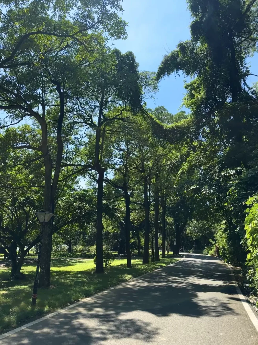 这几天吃进去的热量要一笔勾销喔⌯'ㅅ'⌯🤝🏻