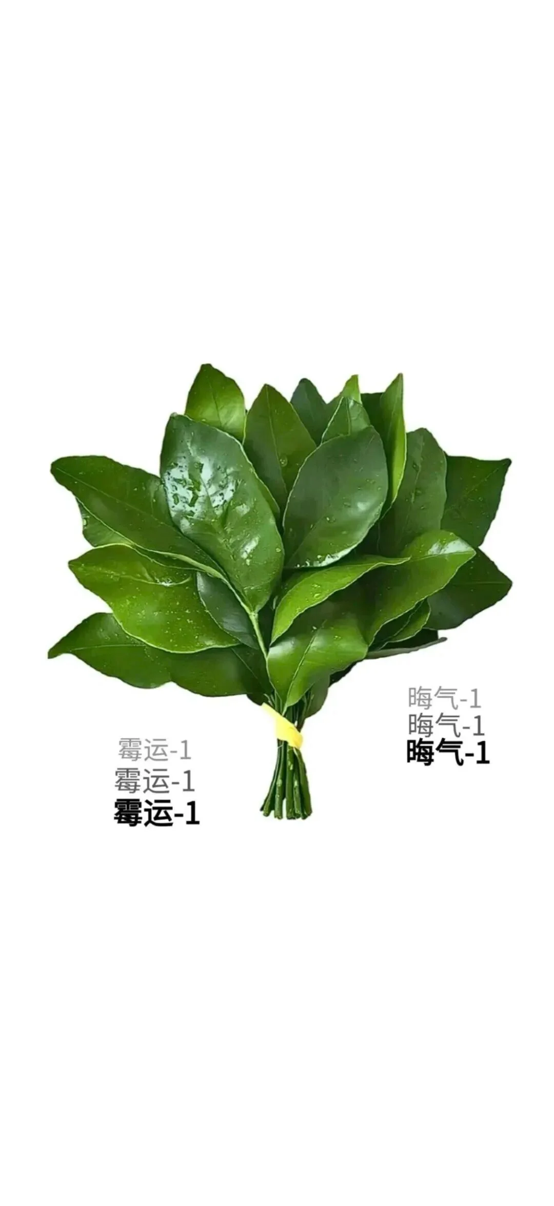 【壁纸】柚子叶去晦气