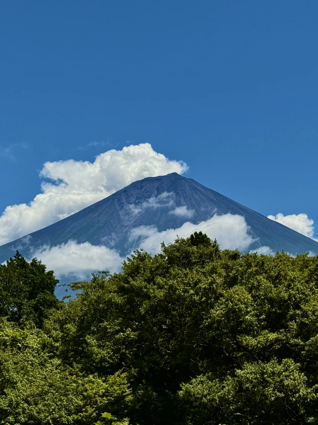 静冈「白丝瀑布」｜富士山+绝美瀑布同框