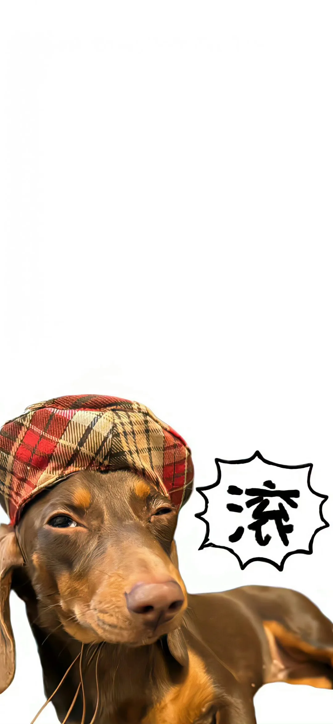 一期搞怪壁纸分享