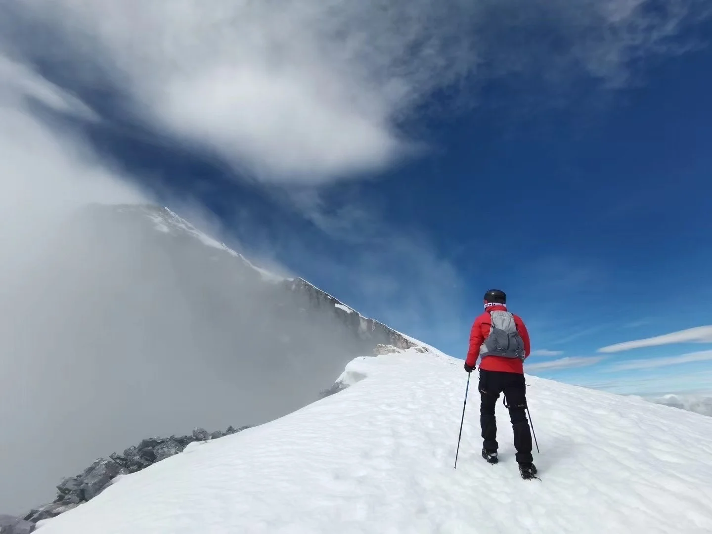 飞机上遇见了珍·古道尔（Jane Goodall）女士