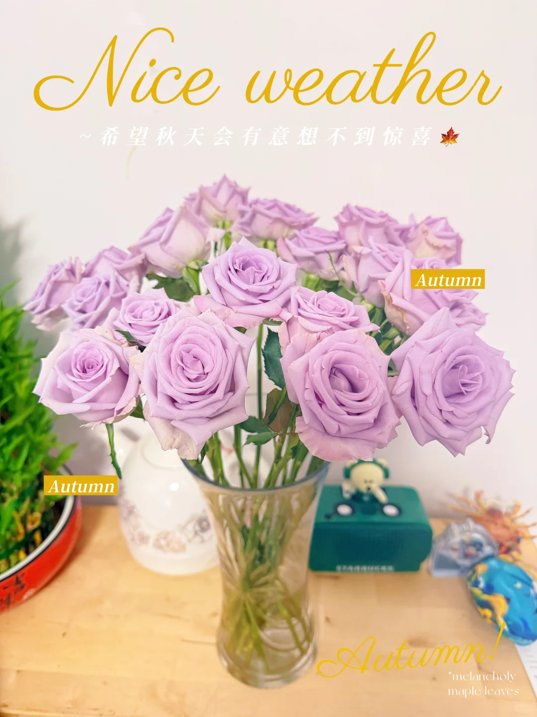 多运动才敢吃薯条和巧克力威化