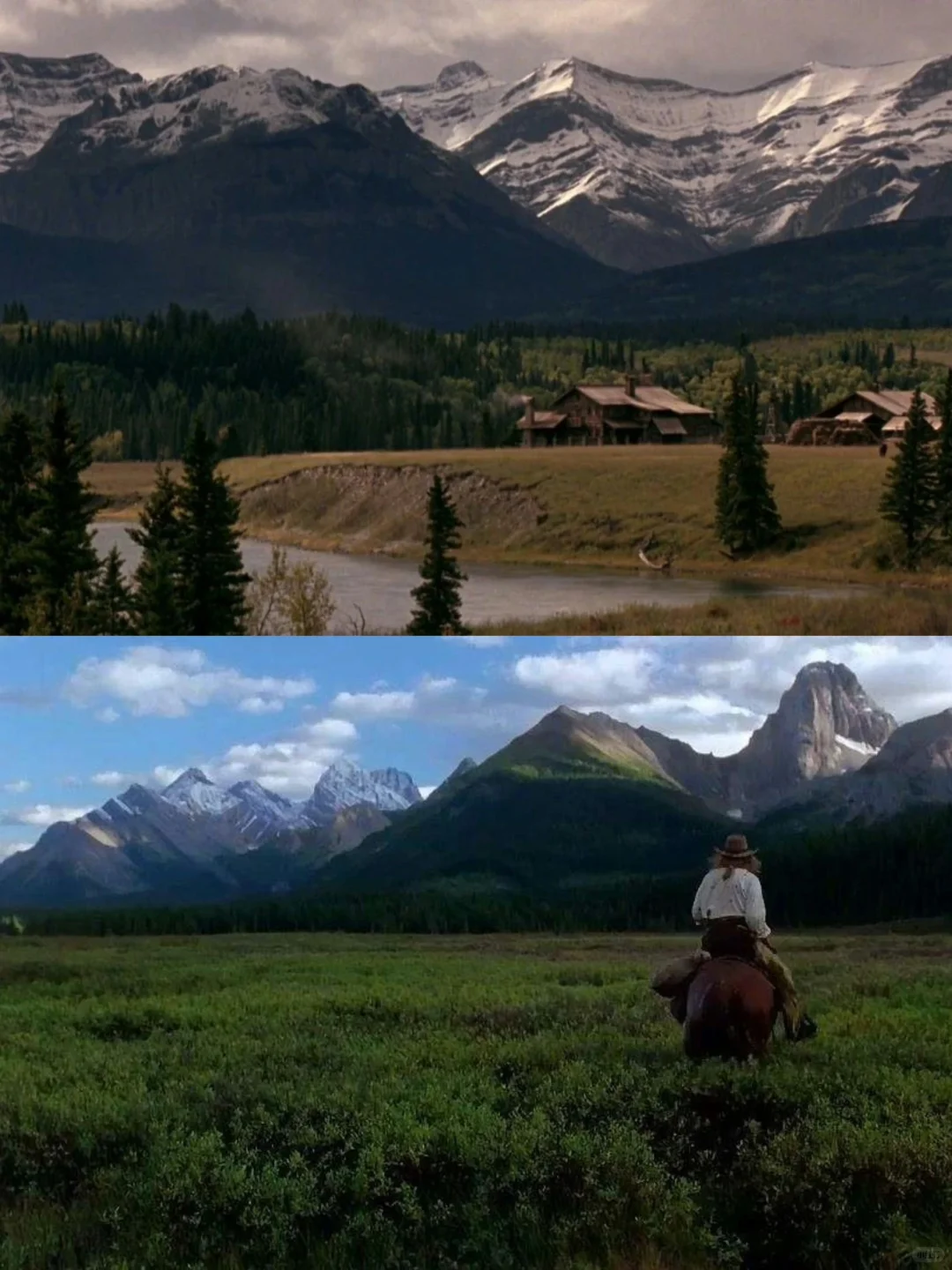 电影｜一个女人与三个男人的史诗：欲望与人生