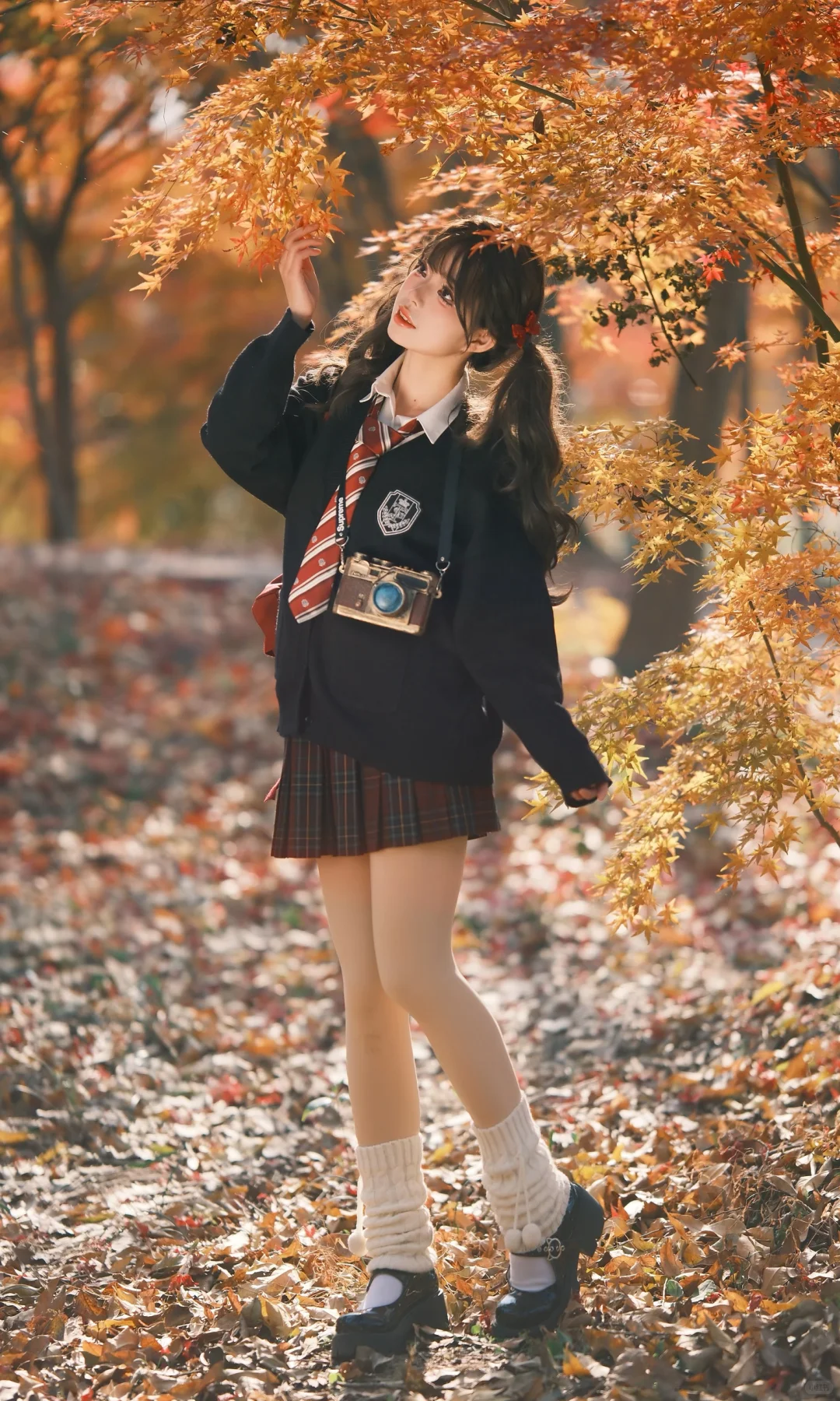 秋天也要拍出活人感！🍁