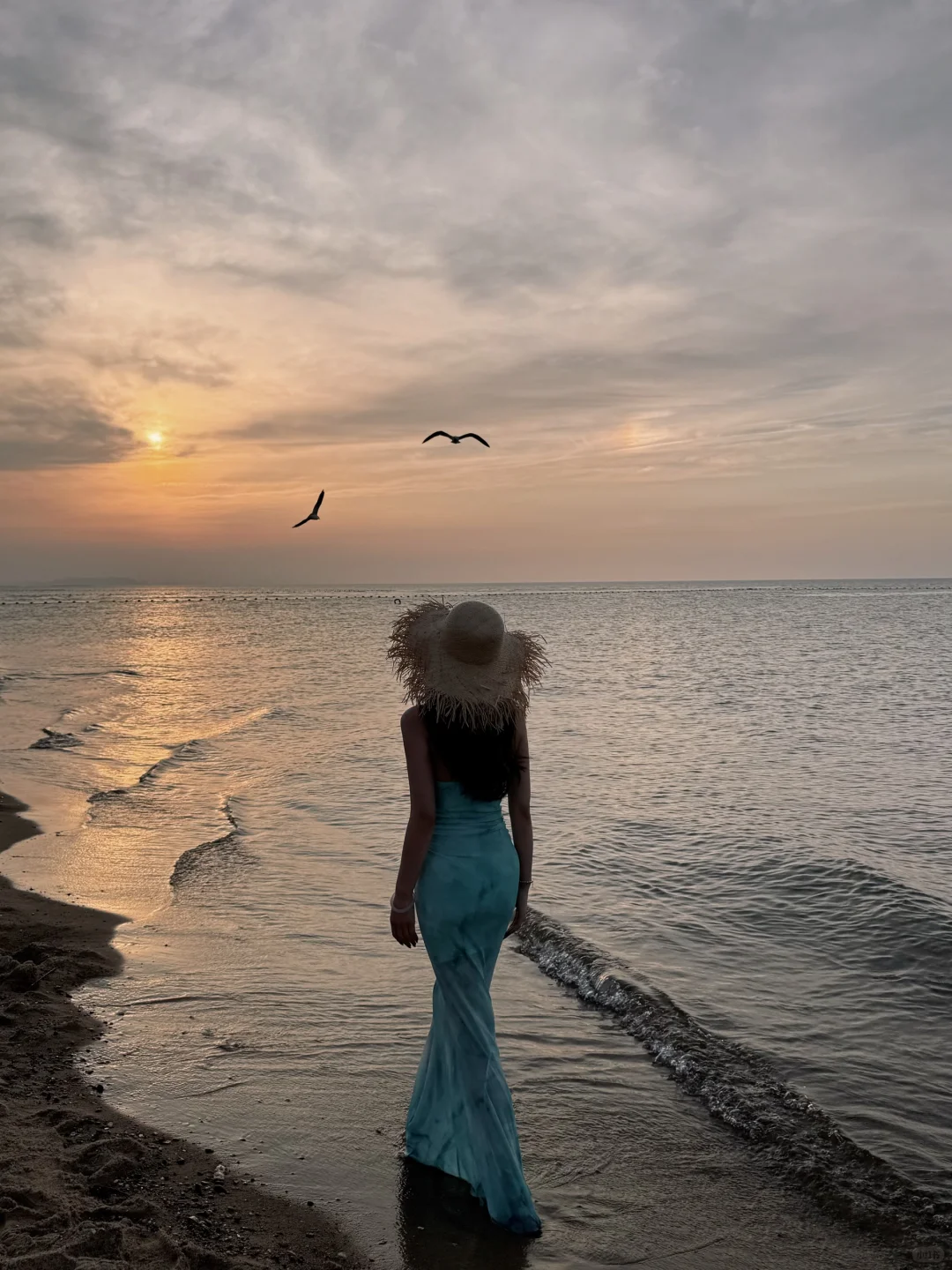 去看海了，晚霞和海鸥都很好看🌊