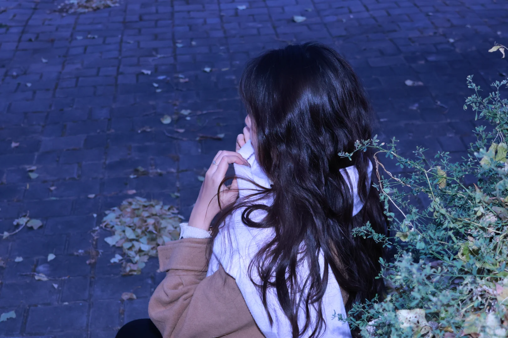 夜色中的她，如月亮