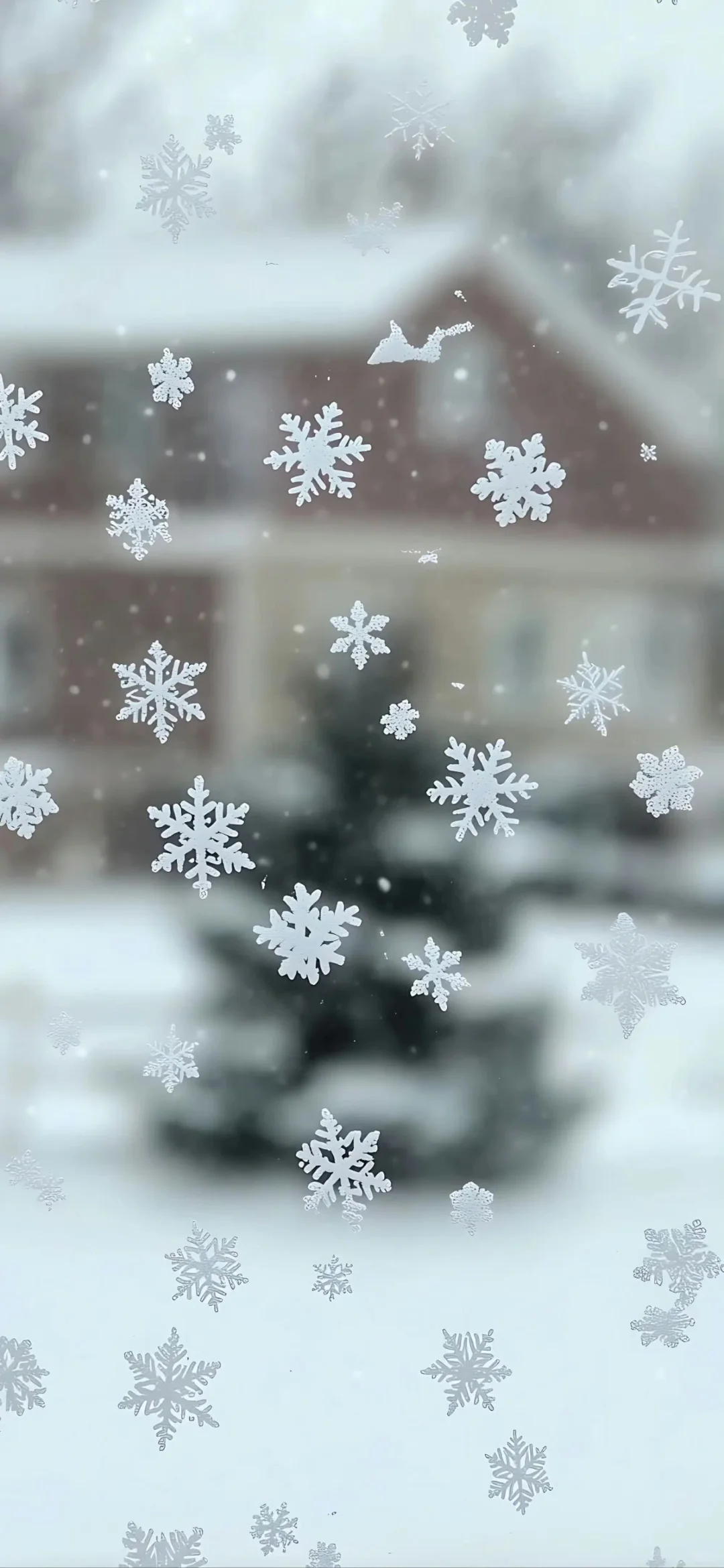 Wallpaper ｜ins感壁纸