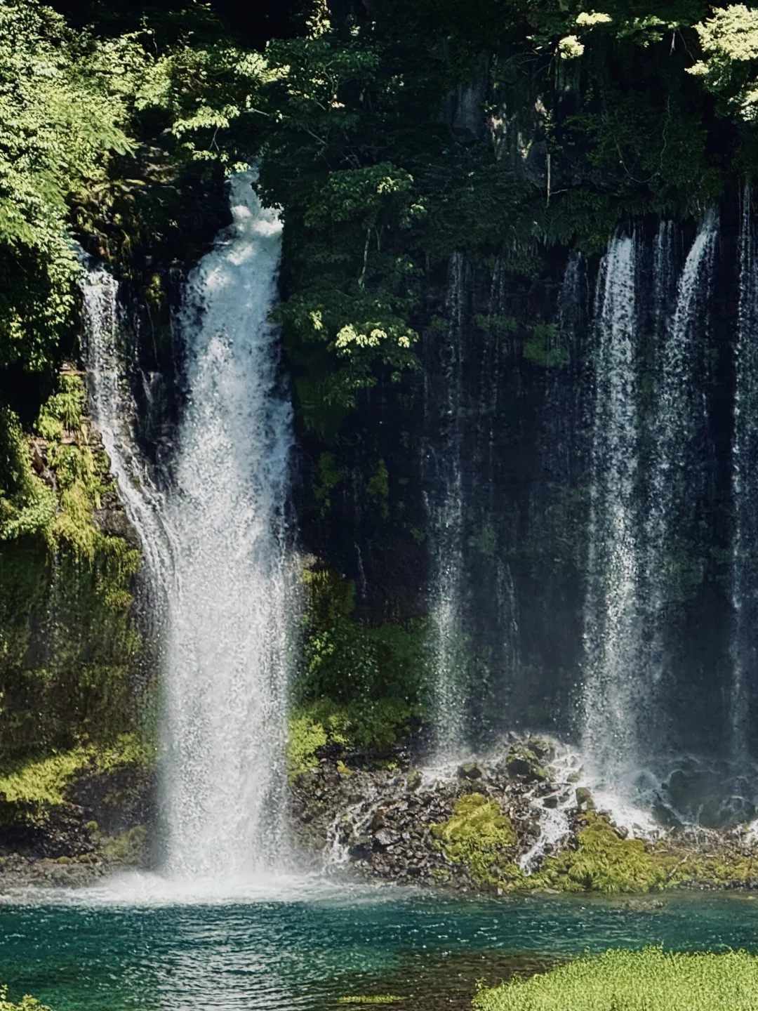 静冈「白丝瀑布」｜富士山+绝美瀑布同框