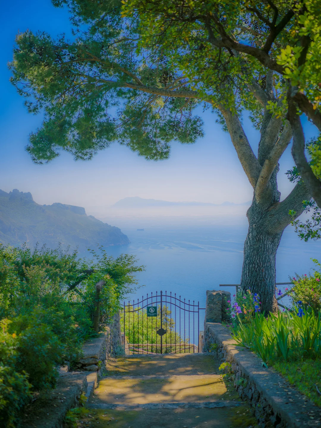 𝓁ℯ𝓂ℴ𝓃 𝒿ℯ𝓁𝓁𝓎 𝓈ℯ𝒶 | 🍋