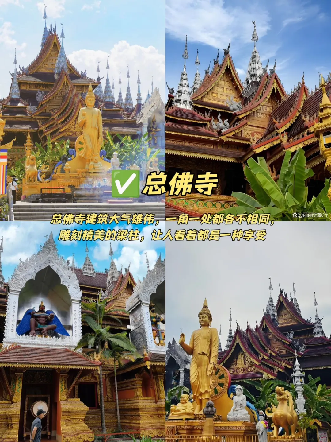 05女大📍西双版纳｜穷鬼版3天2夜详细攻略！