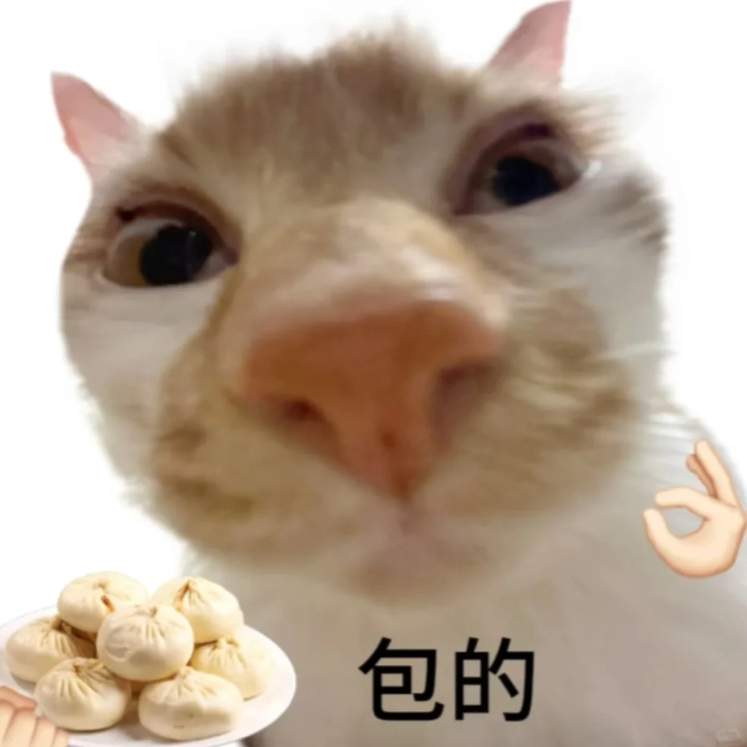 我心目中的自然女博主推荐①