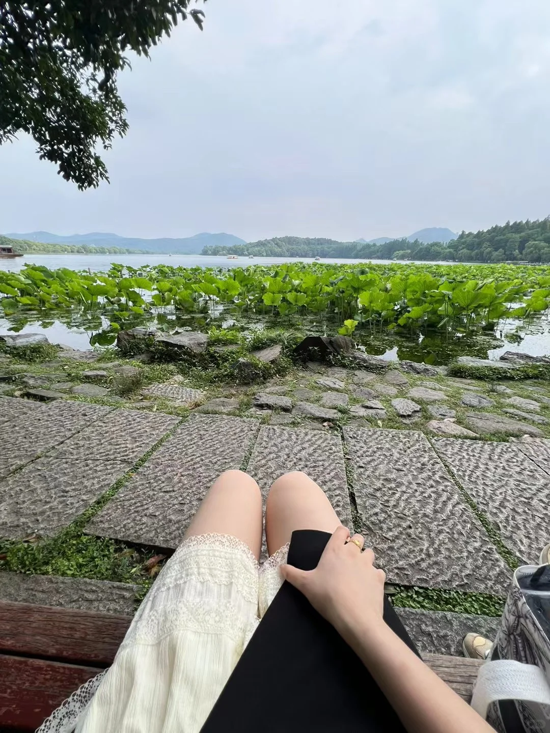 喜欢我的腿吗？