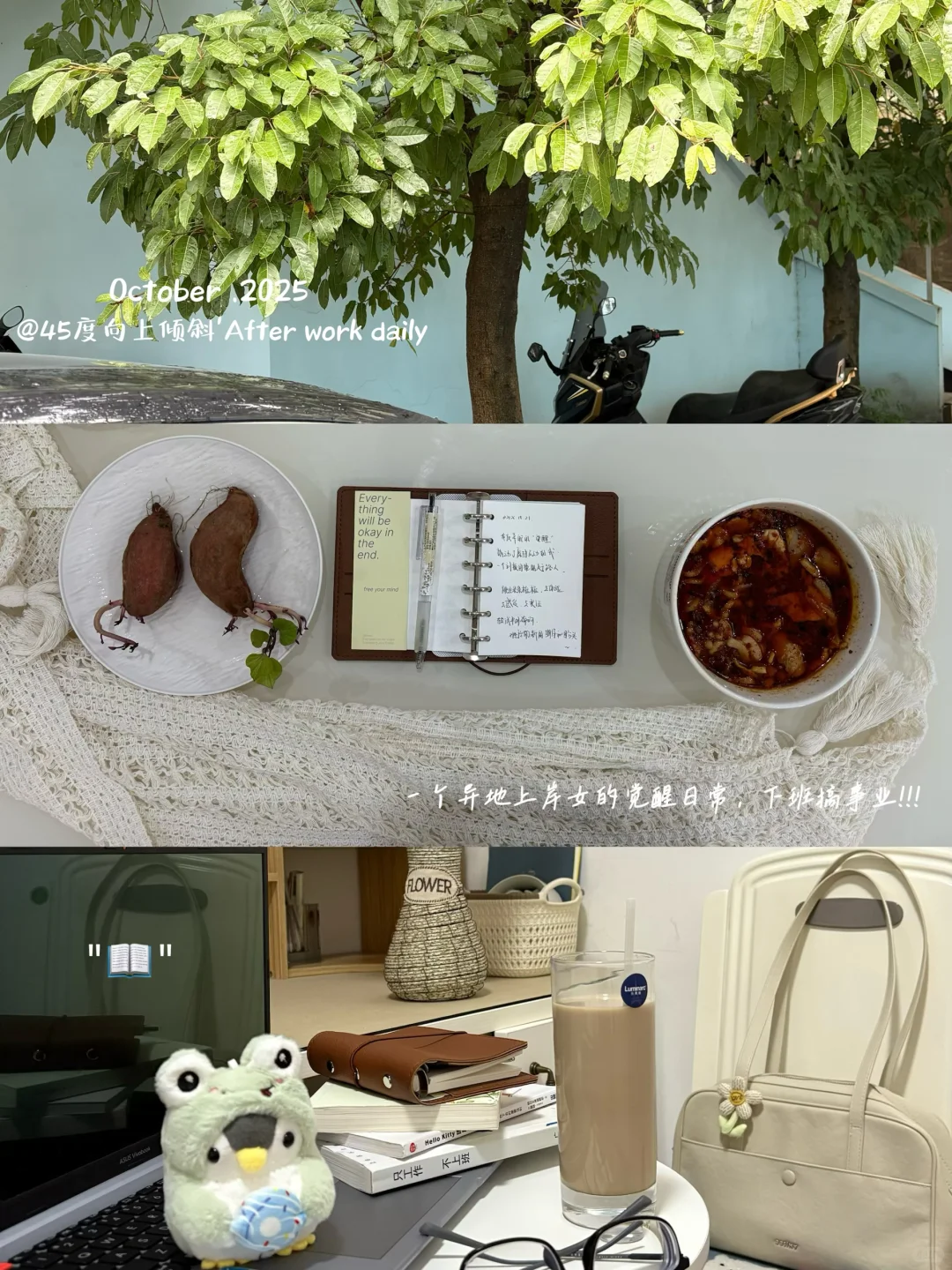 30+异地上岸女｜专注工作纯粹生活，无谓无畏