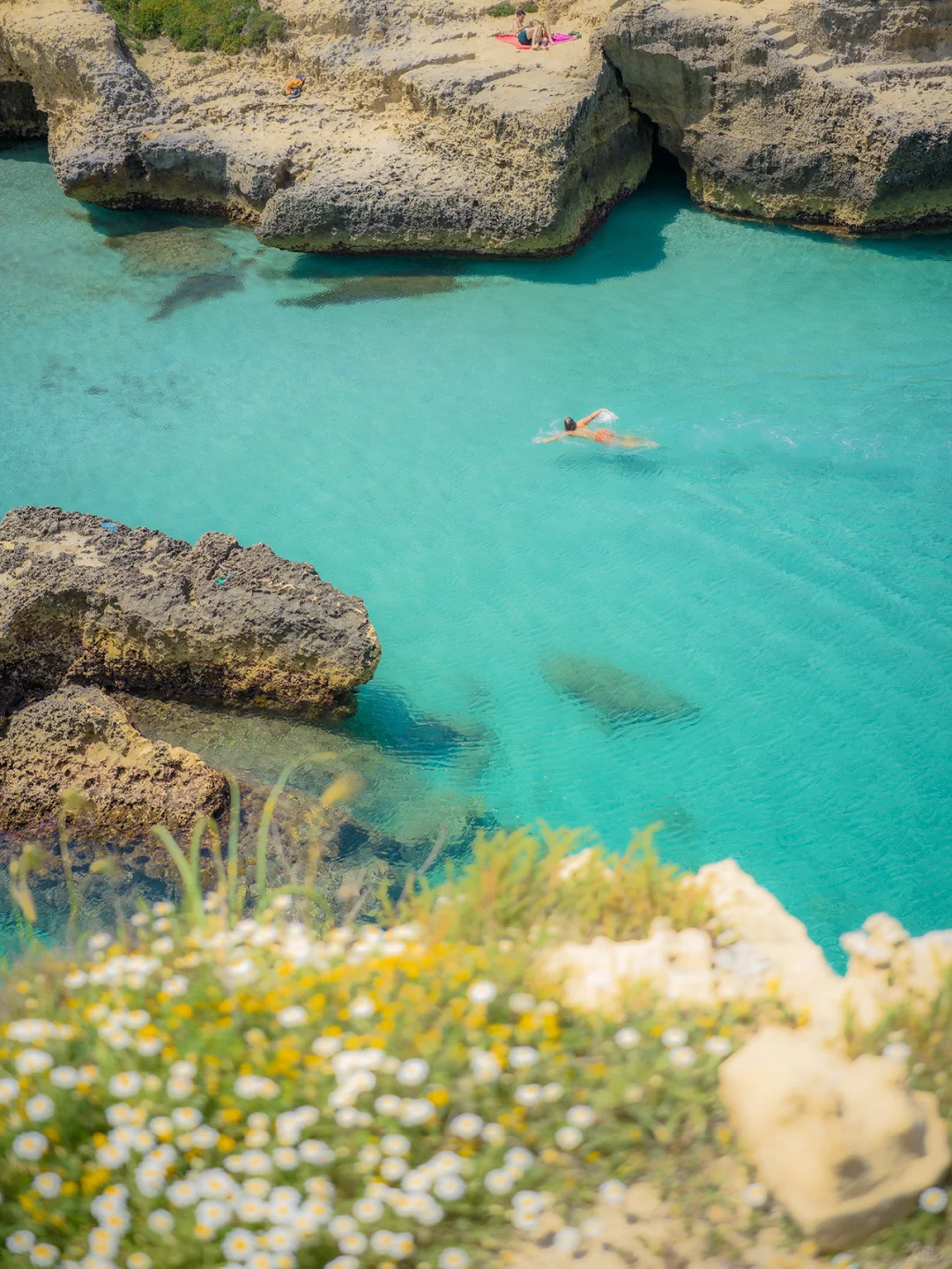 𝓁ℯ𝓂ℴ𝓃 𝒿ℯ𝓁𝓁𝓎 𝓈ℯ𝒶 | 🍋