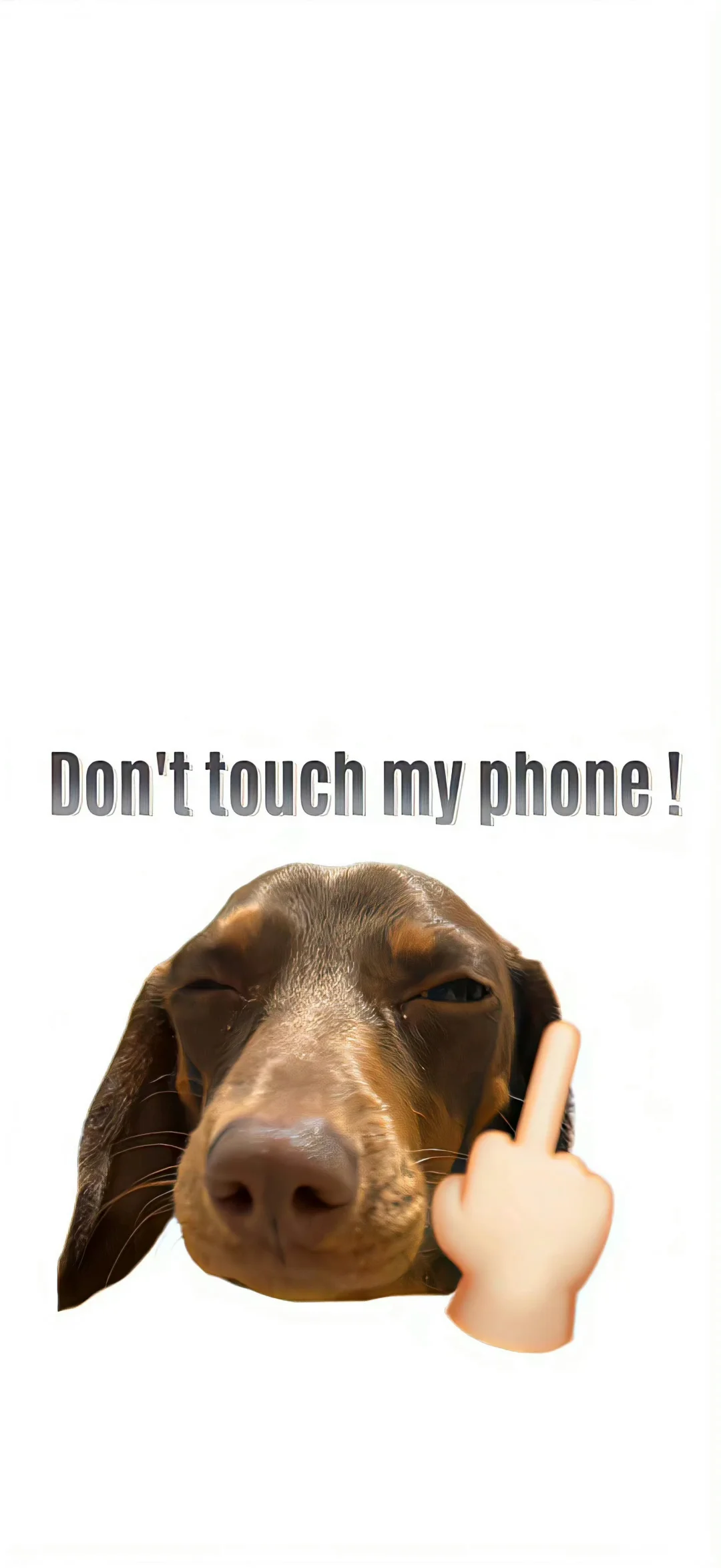 一期搞怪壁纸分享