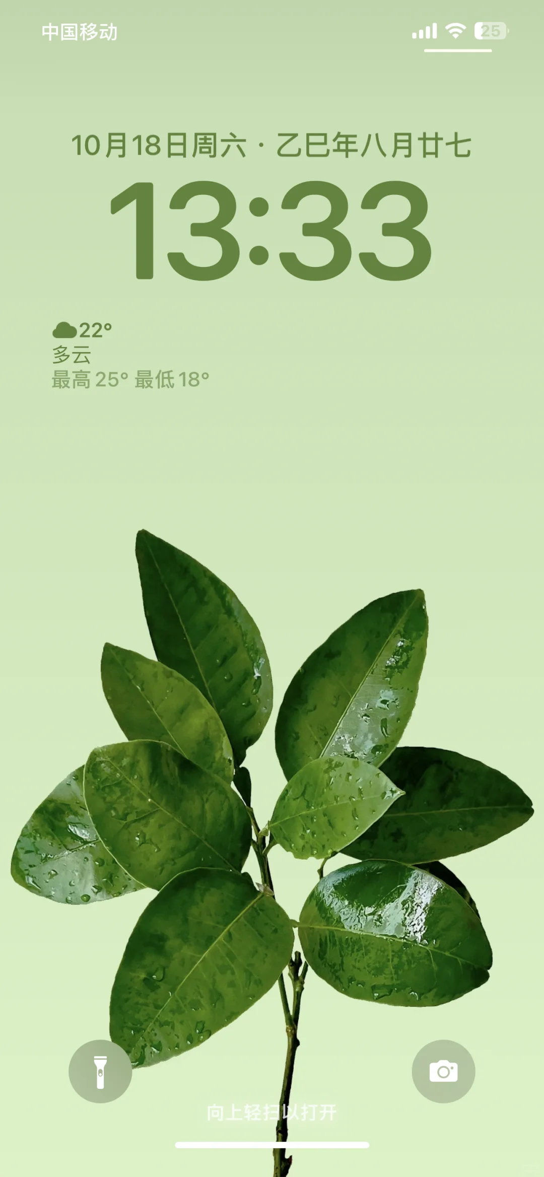 主打一个听劝！柚子叶好运🍀壁纸安排上～