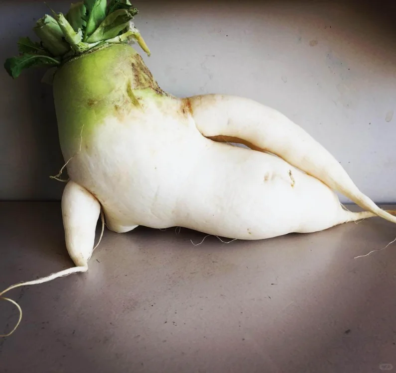 你见过这么妖娆的萝卜吗？