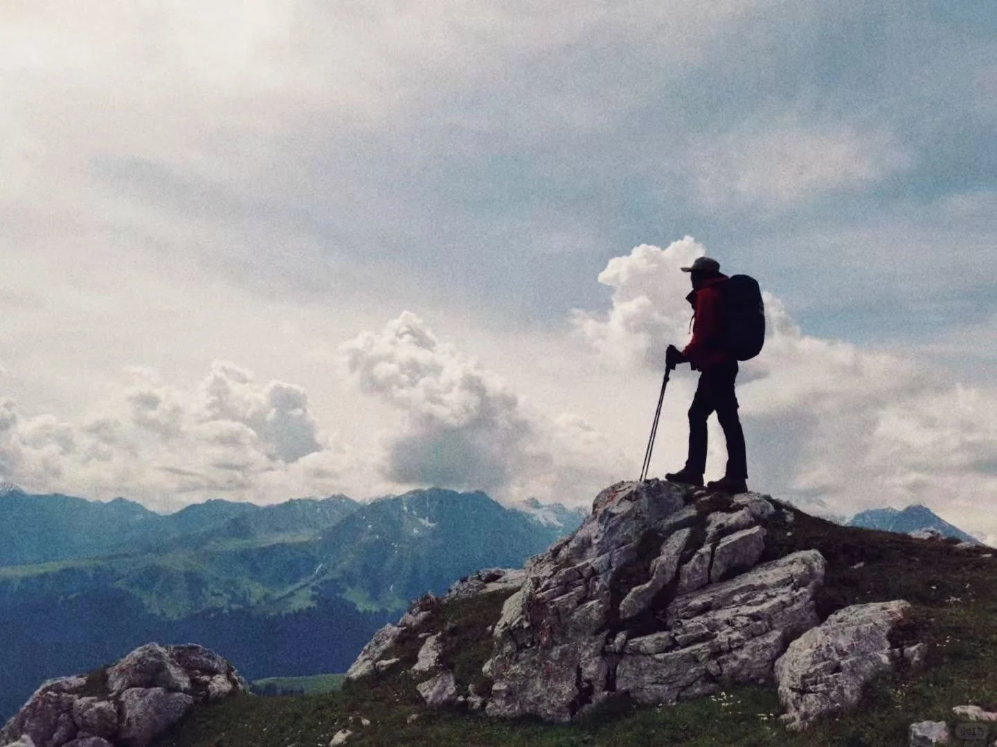 飞机上遇见了珍·古道尔（Jane Goodall）女士