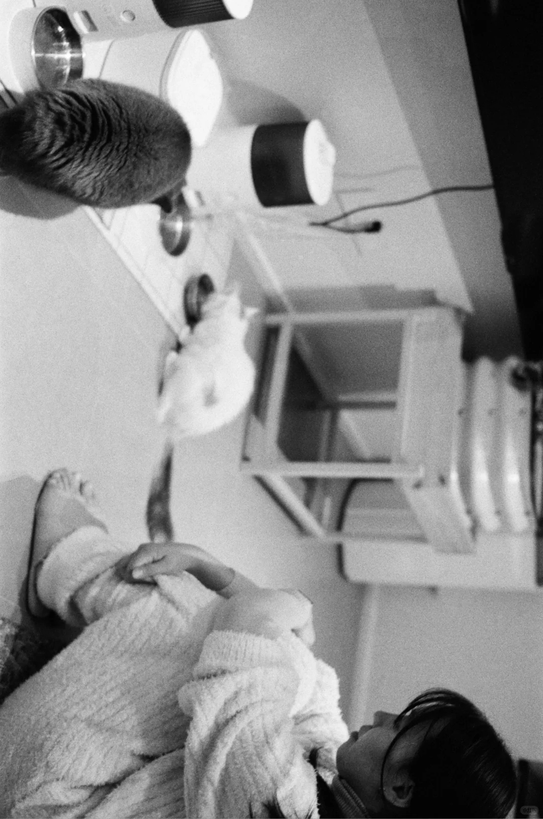 喜欢雀斑、牙套、自然卷、粗壮的小腿。