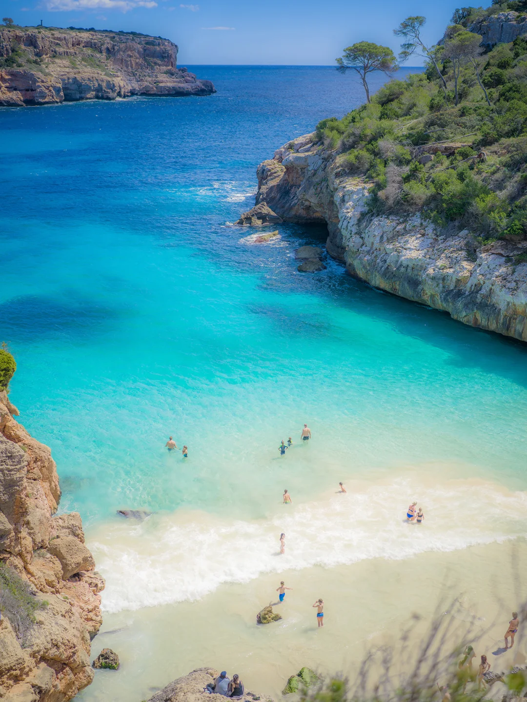 𝓁ℯ𝓂ℴ𝓃 𝒿ℯ𝓁𝓁𝓎 𝓈ℯ𝒶 | 🍋