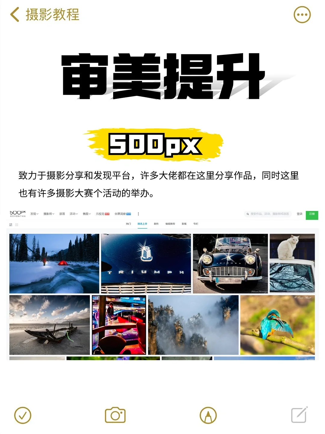 摄影干货|新手必看12个学摄影网站❗