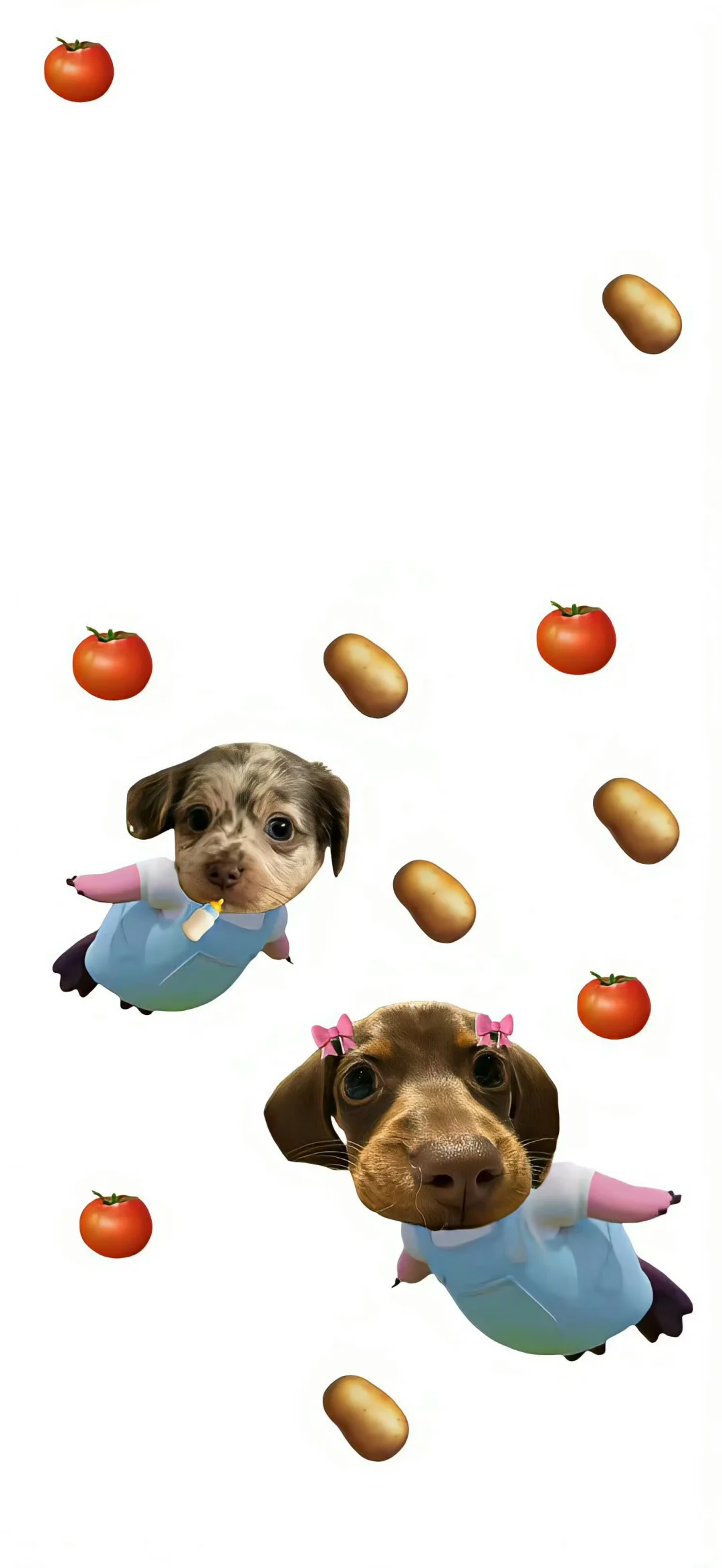 一期搞怪壁纸分享