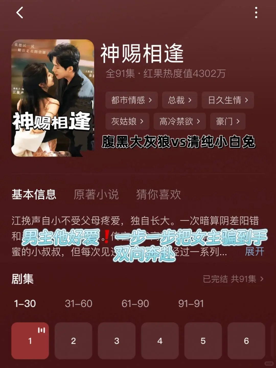 一口气看完！简直磕疯了！！！