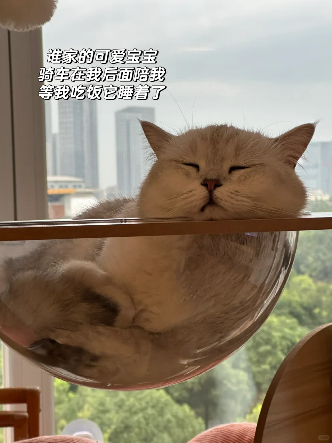 165/59kg｜梨形👉🏻沙漏 边吃边练