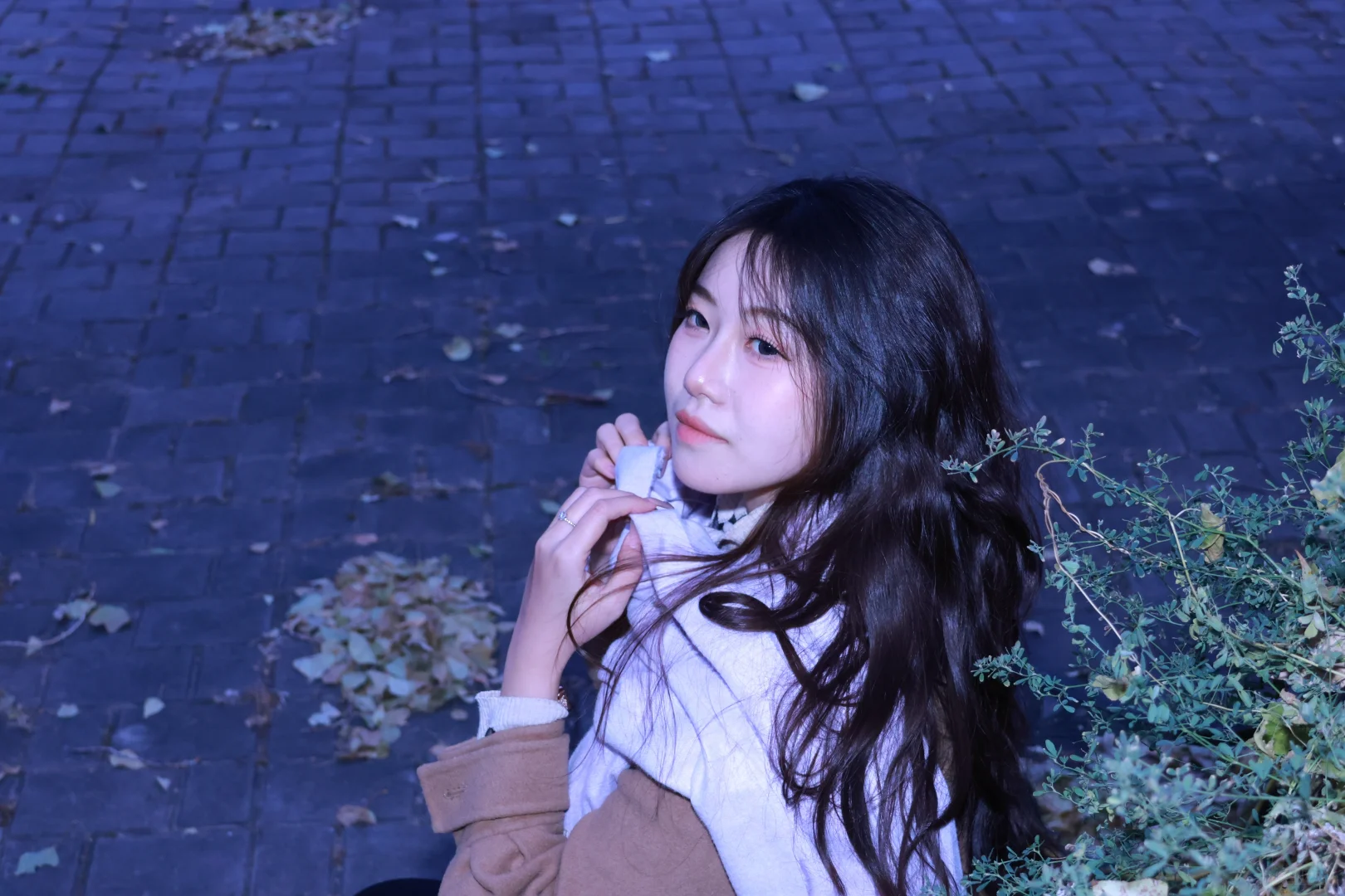 夜色中的她，如月亮