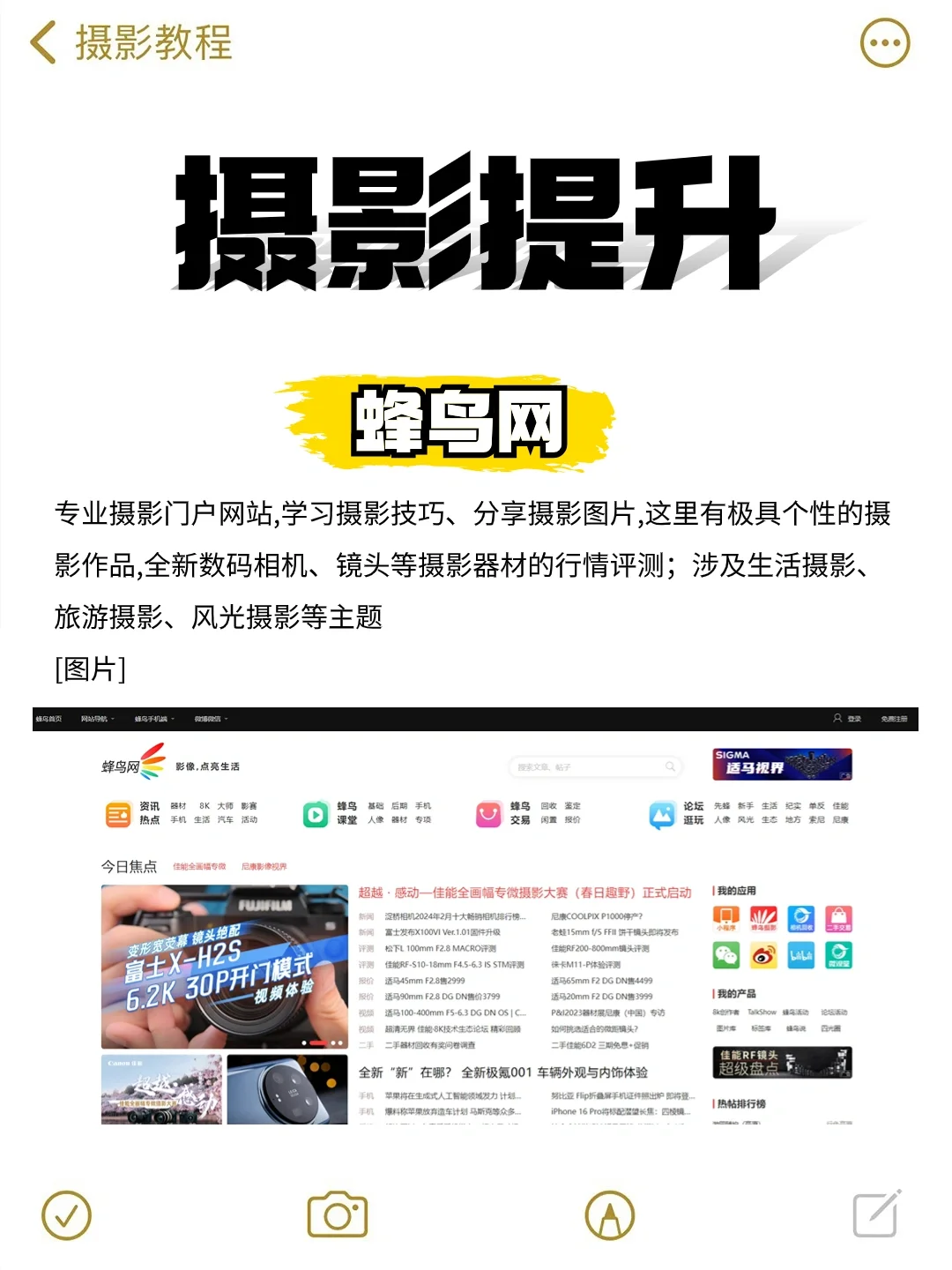 摄影干货|新手必看12个学摄影网站❗