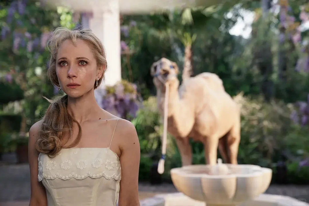 《小鸟们》｜真是两只性感迷人的小鸟哦！