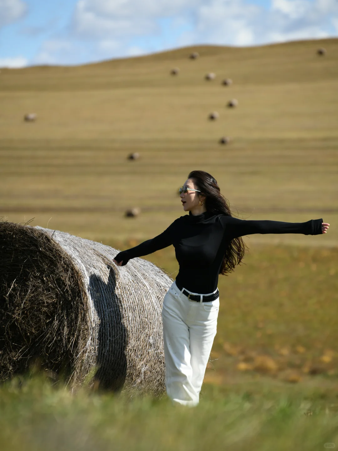 草原瑞士卷给的生命力！💃🏻